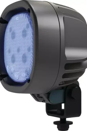 Commander Maintenant Feu led avicole bleuebird Tyri