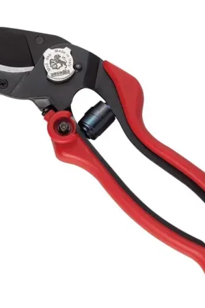Dernier Modèle Secateur pro evo 6 ausonia