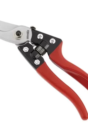 Promotion Saisonnière Secateur easy lock ausonia