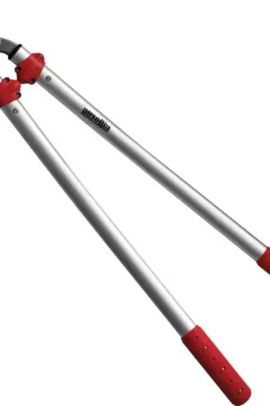 Coupe branches pro 60 cm ausonia Prix Choc