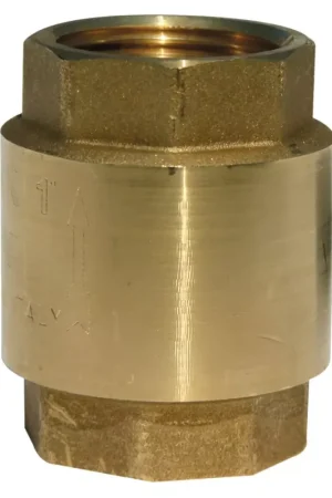 Achat Immédiat Clapet anti-retour en laiton femelle/femelle 2"
