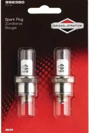 Must-Have Bougie sv Briggs & Stratton blister de 2
