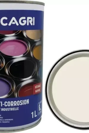 Vente Flash Peinture de finition blanc ford pot 1l lacagri