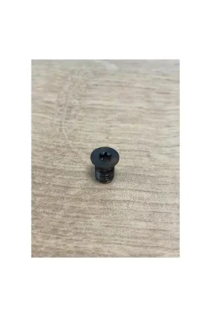 Vis torx VI119709 ELBE ELISTAR M6 x 9 Jusqu'à Épuisement Des Stocks