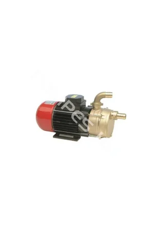 Pompe de transfert bronze (12V et 24V) ECC Satisfait Ou Remboursé
