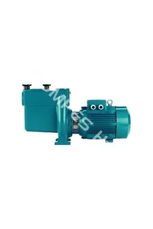 Meilleur Choix Pompe filtration piscine (400V) Calpeda NMP 65