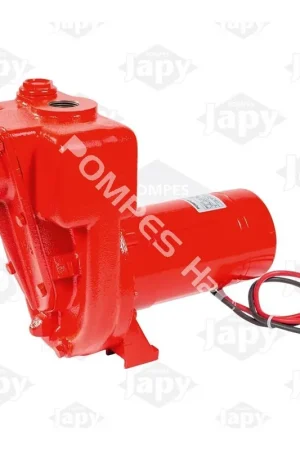 Pompe de transfert gasoil 12V-24V Acheter En Ligne