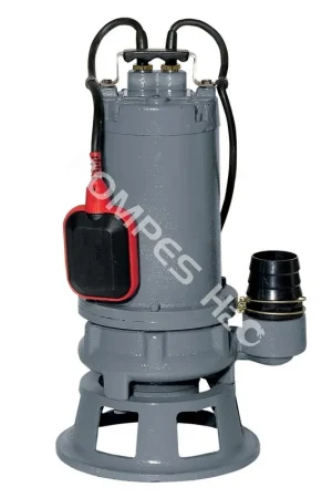 Authentique Pompe broyeuse en Fonte - Broyeuse 100