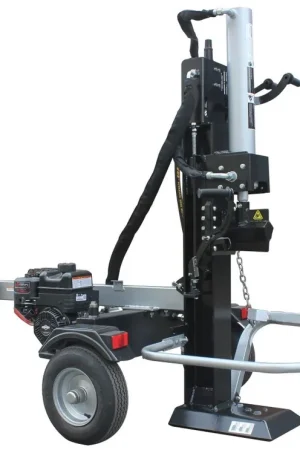 Achat Immédiat Fendeuse de bûches FT63 - 22VBS 22T - TEMVER