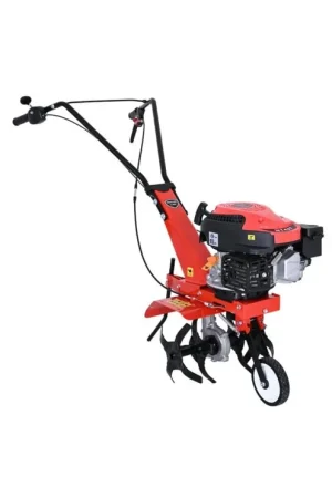 LN010086 - MOTOBINEUSE TEMVER BY RATO MT40T Meilleur Choix