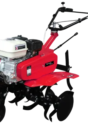 MOTOCULTEUR TEMVER MT75-3H HONDA GP160 Produit De Marque
