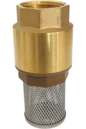 Crépine laiton avec clapet filetage 1" PIUSI Livraison Express