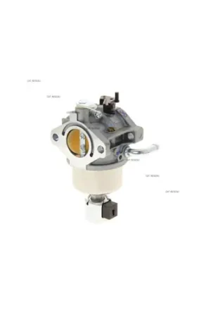 Promotion Saisonnière Carburateur BRIGGS & STRATTON