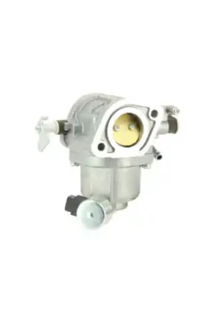 Carburateur BRIGGS & STRATTON 597126 Petit Prix