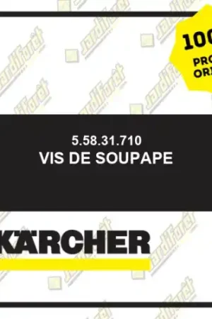 Vis de soupape Karcher 55831710 Prix Cassé