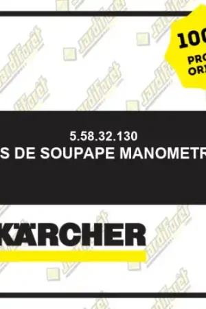 Vis de soupape manometre Karcher 55832130 Expédié Aujourd'hui