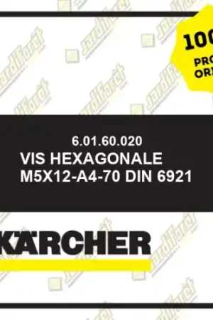 Vis hexagonale M5x12-A4-70 DIN 6921 Karcher 60160020 Solde